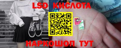 прущие грибы Нальчик