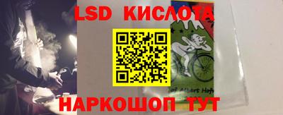 прущие грибы Нальчик