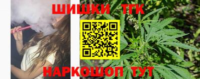 прущие грибы Нальчик