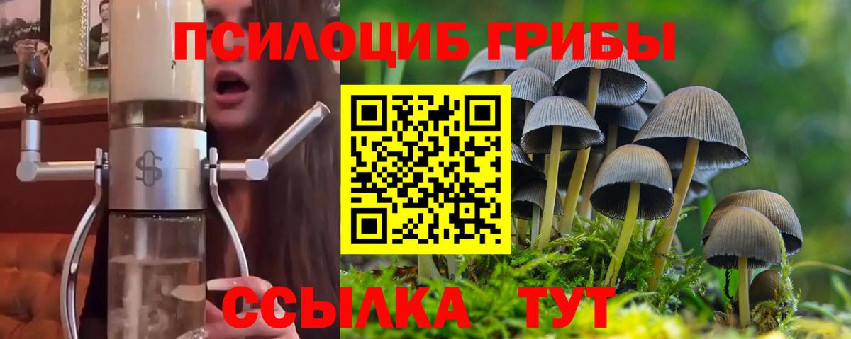 Сыктывкар  купить наркотик  Вход с VPN  Галлюциногенные грибы Psilocybine cubensis  Галлюциногенные грибы Magic Shrooms 